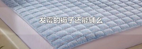 发霉的褥子还能铺么