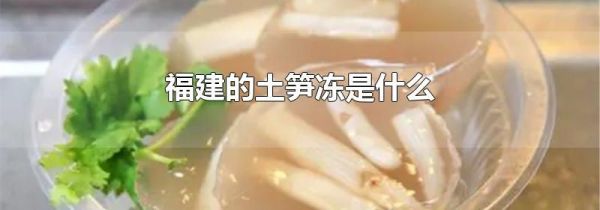 福建的土笋冻是什么