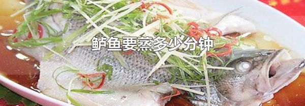 鲈鱼要蒸多少分钟