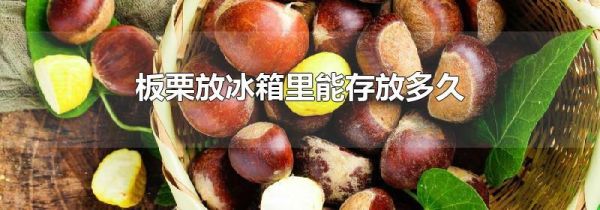 板栗放冰箱里能存放多久