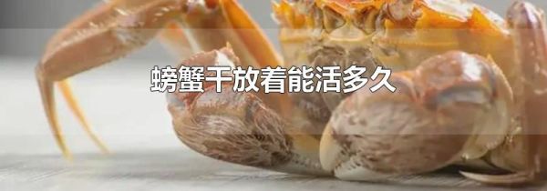 螃蟹干放着能活多久