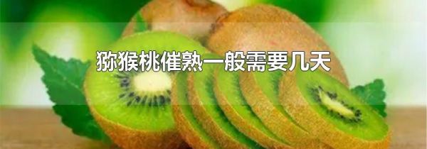 猕猴桃催熟一般需要几天