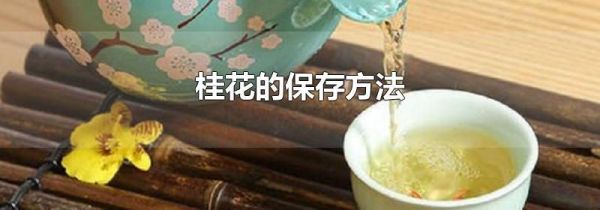 桂花的保存方法