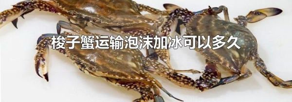 梭子蟹运输泡沫加冰可以多久