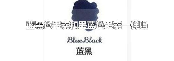 蓝黑色墨囊和墨蓝色墨囊一样吗
