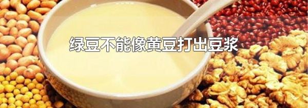 绿豆不能像黄豆打出豆浆