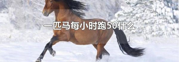一匹马每小时跑50什么