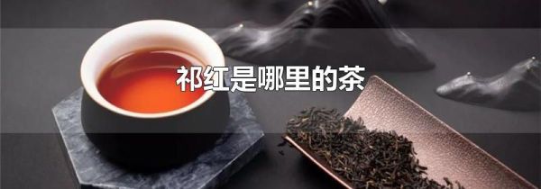 祁红是哪里的茶