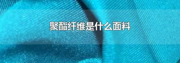 聚酯纤维是什么面料