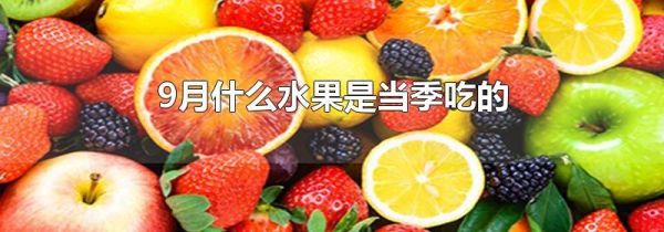 9月什么水果是当季吃的
