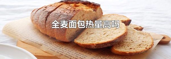 全麦面包热量高吗