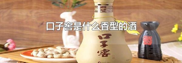 口子窖是什么香型的酒