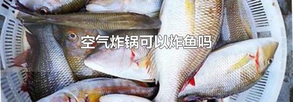 空气炸锅可以炸鱼吗