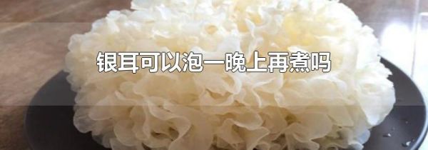 银耳可以泡一晚上再煮吗