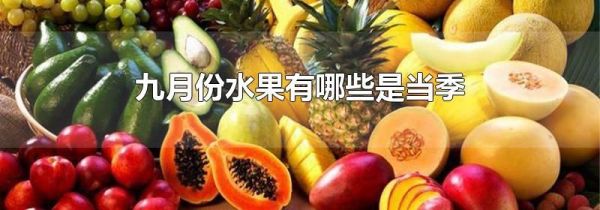 九月份水果有哪些是当季