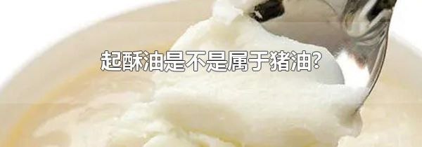 起酥油是不是属于猪油?