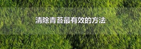 清除青苔最有效的方法