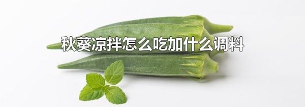 秋葵凉拌怎么吃加什么调料