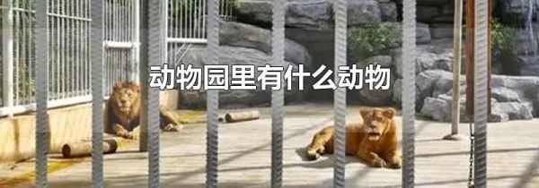 动物园里有什么动物