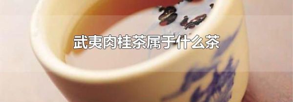 武夷肉桂茶属于什么茶