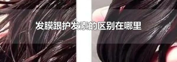 发膜跟护发素的区别在哪里