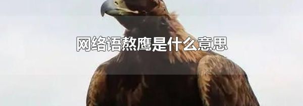 网络语熬鹰是什么意思