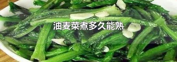 油麦菜煮多久能熟