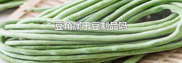 豆角属于豆制品吗