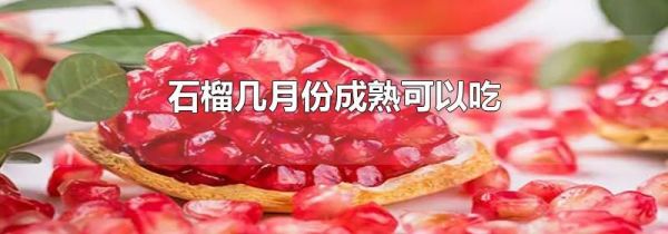 石榴几月份成熟可以吃
