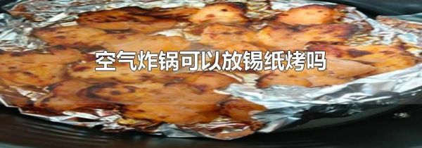 空气炸锅可以放锡纸烤吗