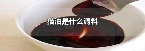 猫油是什么调料