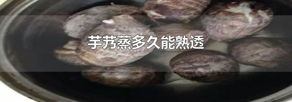 芋艿蒸多久能熟透