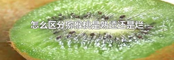 怎么区分猕猴桃是熟透还是烂