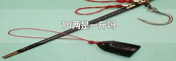 10两是一斤吗