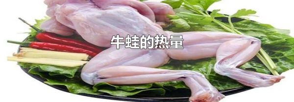 牛蛙的热量