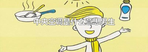 中央空调是什么意思男生