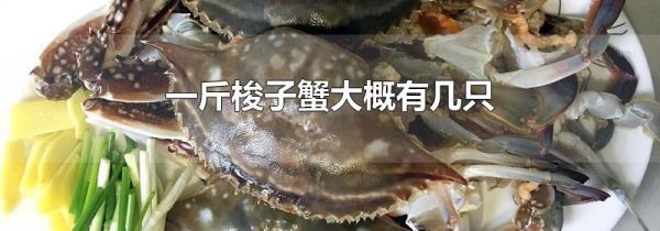 一斤梭子蟹大概有几只