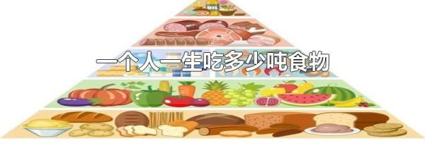 一个人一生吃多少吨食物