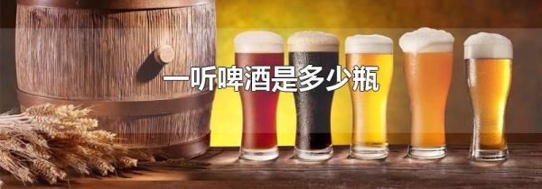 一听啤酒是多少瓶