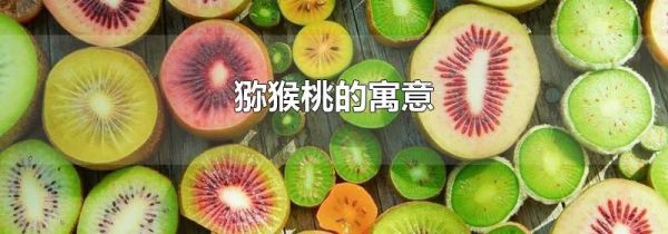 猕猴桃的寓意