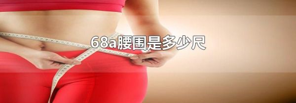 68a腰围是多少尺