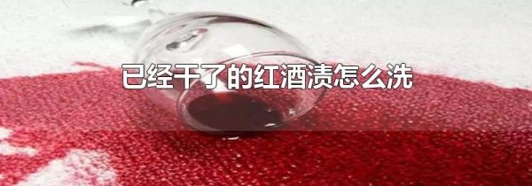 已经干了的红酒渍怎么洗