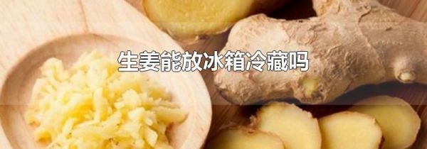 生姜能放冰箱冷藏吗
