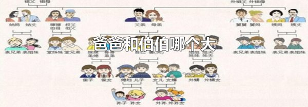 爸爸和伯伯哪个大