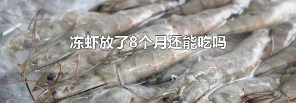 冻虾放了8个月还能吃吗