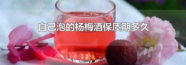 自己泡的杨梅酒保质期多久