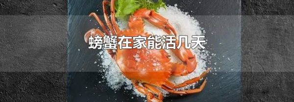 螃蟹在家能活几天