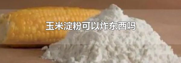 玉米淀粉可以炸东西吗