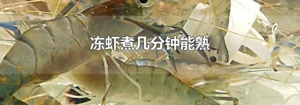 冻虾煮几分钟能熟