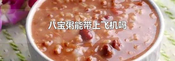 八宝粥能带上飞机吗